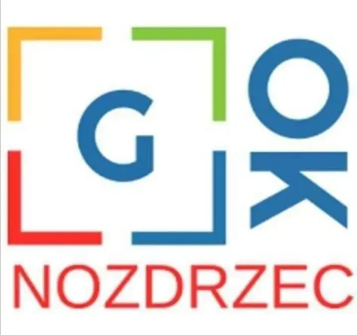 Dzień Głośnego Czytania w bibliotece w Wesołej – uczniowie przenieśli się do świata Harry’ego Pottera