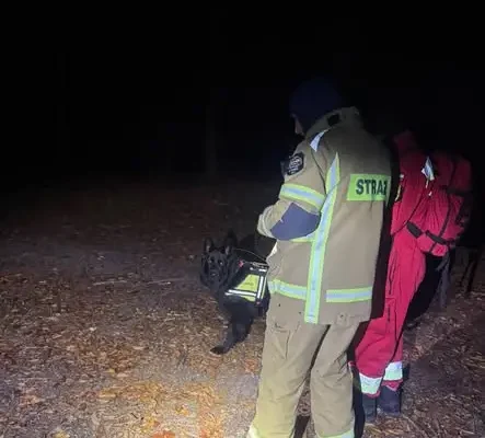 Nocne manewry SFORA 2026: strażacy z Dydni ćwiczyli poszukiwania z psami i dronami